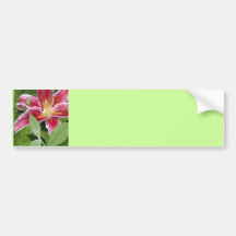 Tiny Green Frog on Stargazer Lily Bumper Stickers