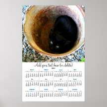 Tiny Kitten in Rusty Pail  2011 wall  calendar Poster