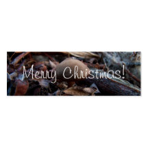 Tiny Mushroom; Merry Christmas Business Cards