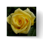 Tiny Painted Yellow Rose Pins