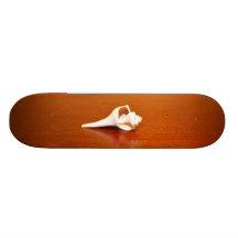 Tiny Shell Skate Board