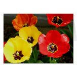 Tiptoe through the... greeting card