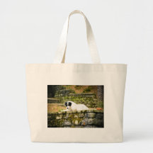 Tired dog beach bag