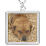Tired dog necklace