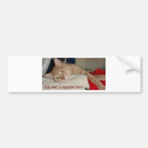 TIRED KITTY BUMPER STICKERS