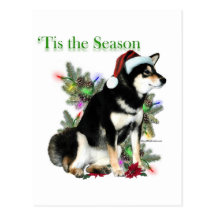 ` Tis de Shiba Inu Cartes Postales