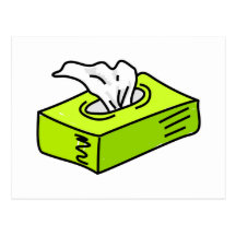 Tissues Postcard