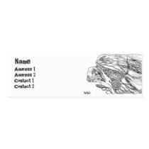 Titan - Skinny business cards