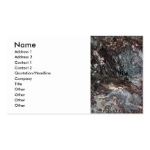 Titania Lying Asleep Business Card Templates