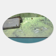 Titanic Artefacts Stickers