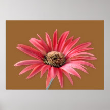 Titled Daisy Poster