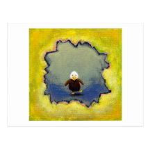 Titled:  Self Portrait  -  Baby bald eagle Post Cards