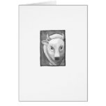 Titled:  Tiny Art #267 - White buffalo ART cards