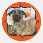 Titus - Presa Canario Mastiff Stickers