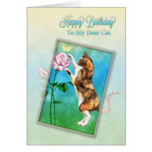 To cat, Happy Birthday with a playful cat Greeting Card