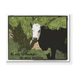 To err is human, To moo bovine Postcard