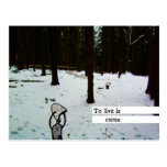 to live is curse postcards