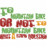 To Mountain Bike photo sculptures