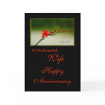 To My Beautiful Wife Happy Anniversary Cards