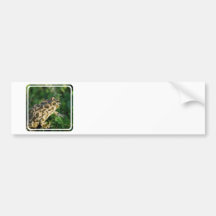 Toad  Bumper Sticker
