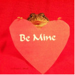 Toad frog holding a heart that says Be Mine ? Photo Cut Out