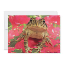 Toad frog standing up against bougainvillea back