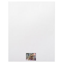Toad frog standing up against firework background letterhead design