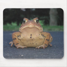 Toad Is Starring At You Mousepad