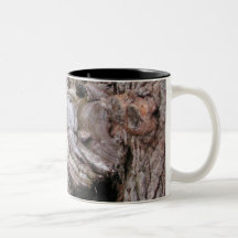 Toad Stool Coffee Mugs