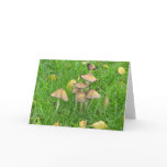 Toadstool greetings card