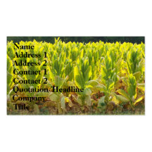 Tobacco Business Card Templates