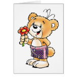 Tobi Teddy Bear  Just for You Cards