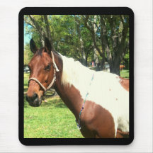 Tobiana Paint Mouse Pads