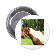 Tobiana Paint Pinback Buttons