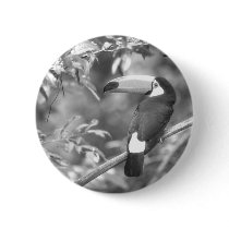 TOCO TOUCAN PHOTO BLACK AND WHITE