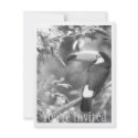TOCO TOUCAN PHOTO BLACK AND WHITE invitations