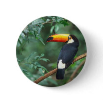 TOCO TOUCAN PHOTO FULL COLOR