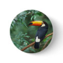 TOCO TOUCAN PHOTO FULL COLOR buttons