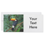 TOCO TOUCAN PHOTO FULL COLOR rack cards