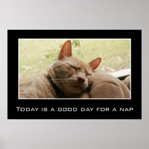 Today is a good day for a nap (L) Poster