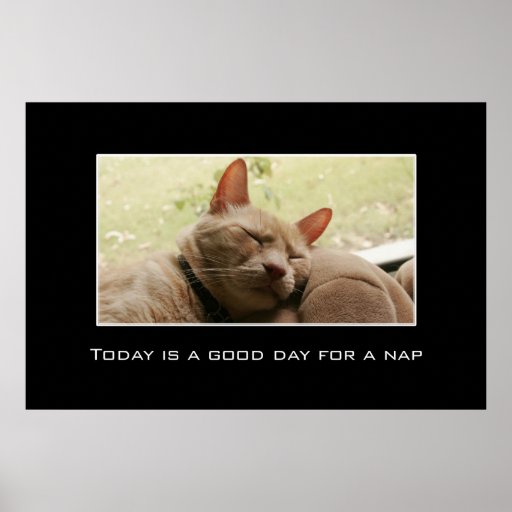 Today is a good day for a nap [XL] Posters