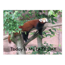 Today Is My LAZY DAY Post Card