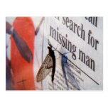 Today's News Postcard