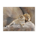 Together Postcard