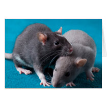Together rats Card