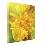 Toile carrée intérieure de beauté d'iris (jaune ch toile tendue