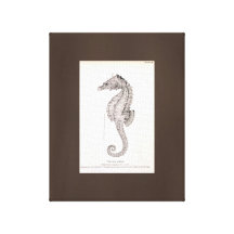 Toile d'art vintage de dessin d'hippocampe Brown Impressions Sur Toile