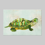 Toile de tortue de jade impressions sur toile