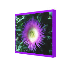 Toile enveloppée par fleur pourpre d'iceberg toiles tendues sur châssis