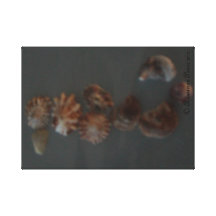 Toile - hippocampe de coquillage. Poires 2012. de  Toile Tendue